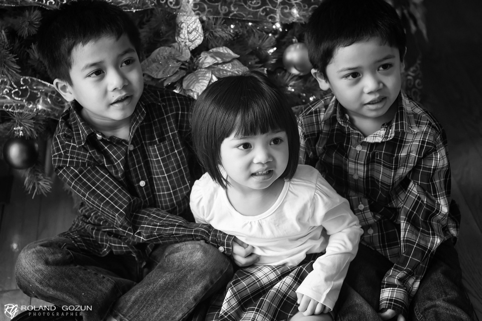Gil Family | Des Plaines Family Photographers