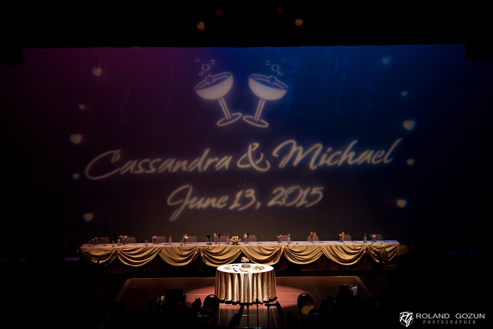 Cassie + Mike | Genesee Theatre Wedding